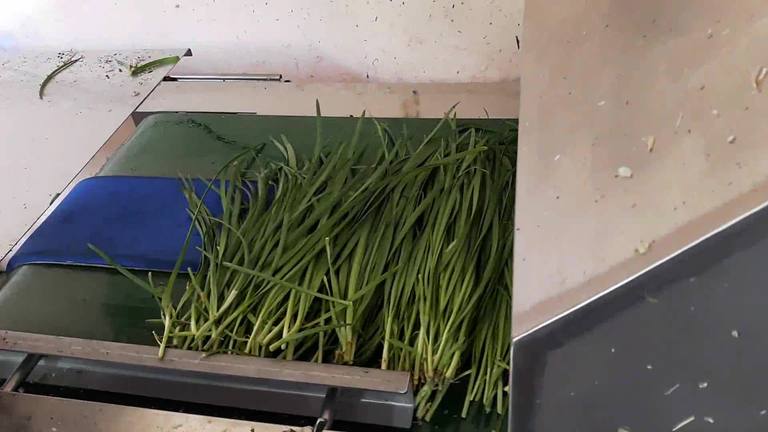 부추 및 쪽파 탈피기 ( 韭菜, 青葱 清洁机 )