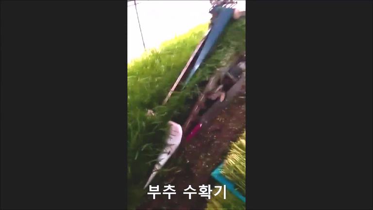 부추수확기(韭菜 收割机)