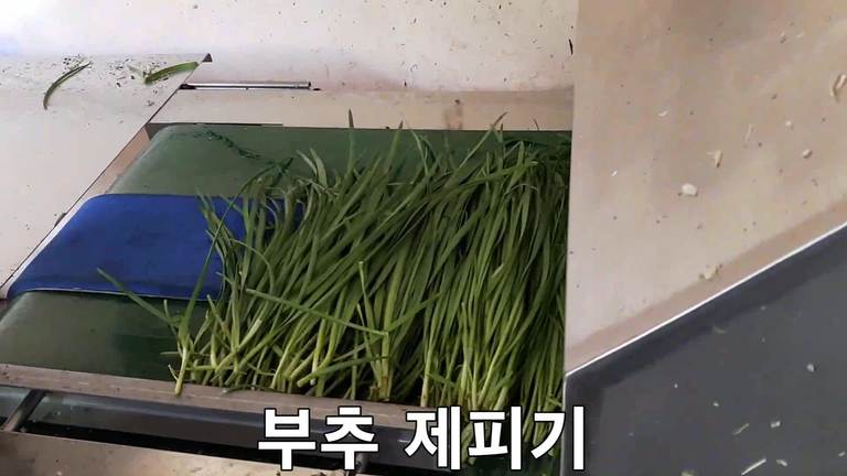 농산물제피기 (农产品 清洁机)